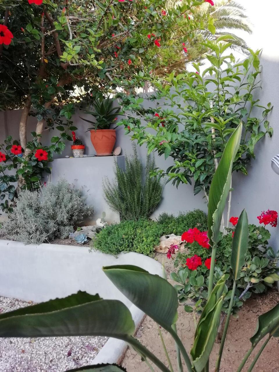 Dimitris' & Valentina'S Home Плакиас Экстерьер фото