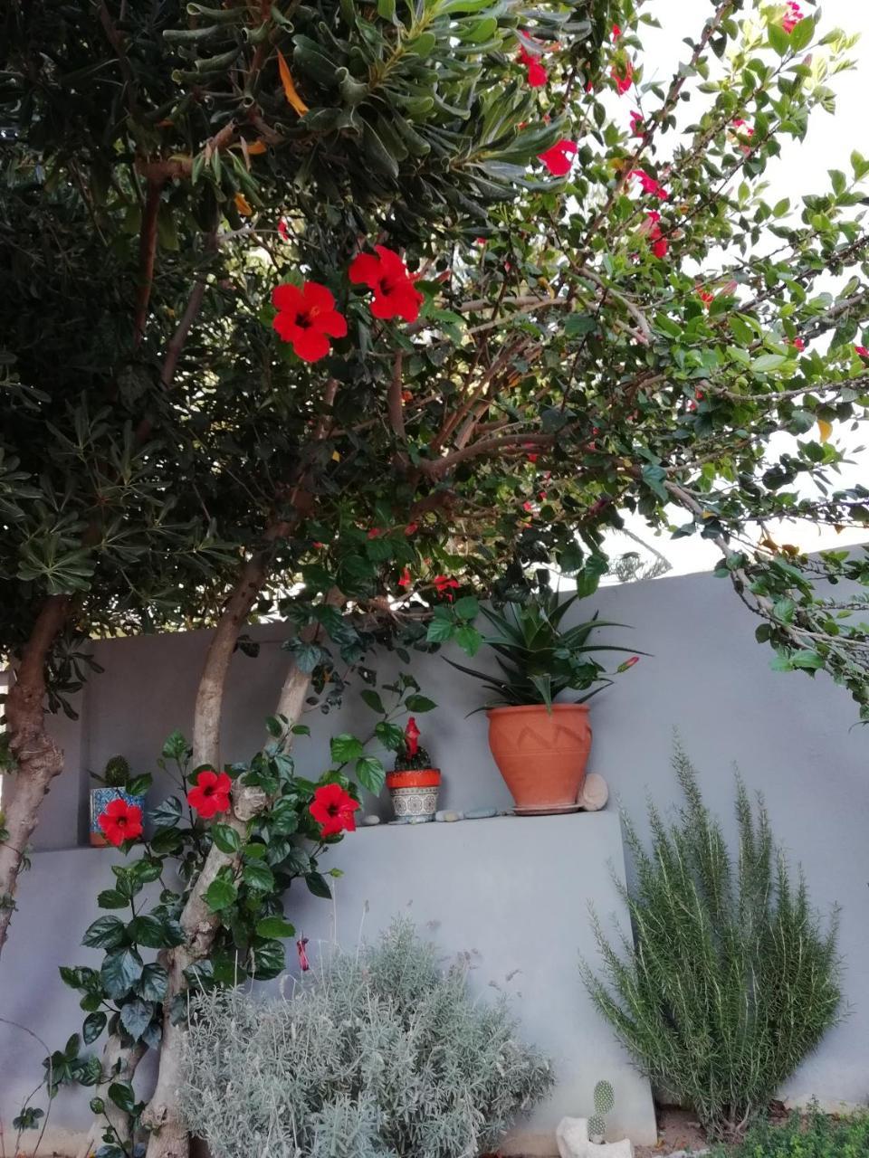 Dimitris' & Valentina'S Home Плакиас Экстерьер фото